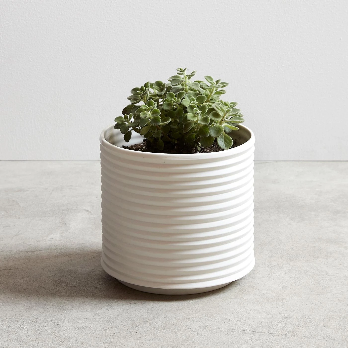 Oblique White Planter 6 Oblique White Planter - Image 4