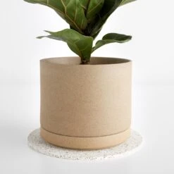 Cork White Round Mat 7" -Furniture Store 101431 gallery option 1 1