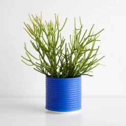 Oblique Electric Blue Planter 14 Oblique Electric Blue Planter -Furniture Store 101521 gallery 1