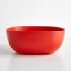 Ekobo Persimmon Large Salad Bowl