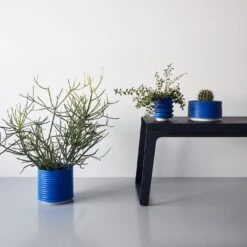 Block Electric Blue Planter -Furniture Store blueplanters summer2022catalog 1