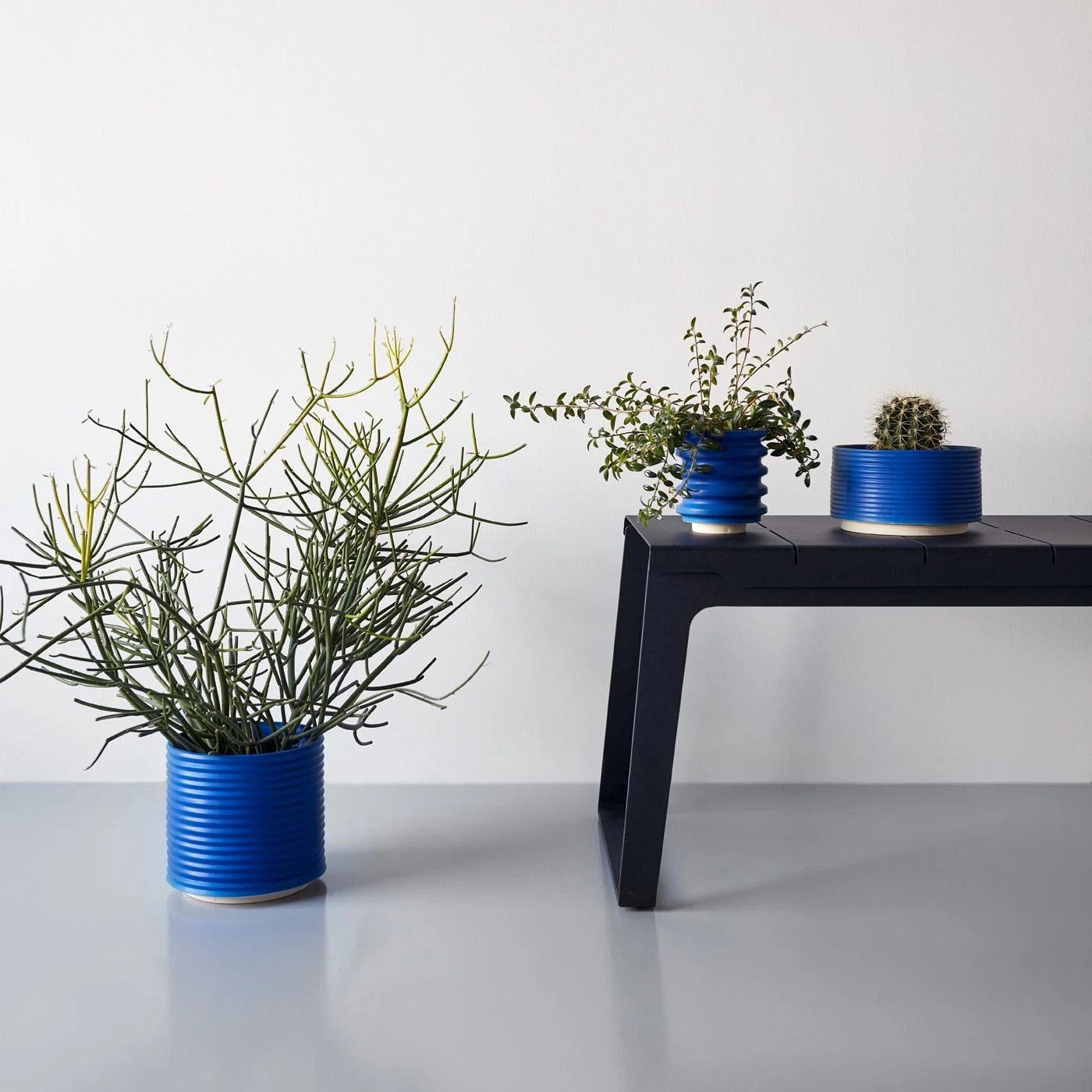 Ribbed Electric Blue Planter 7 Ribbed Electric Blue Planter - Image 5