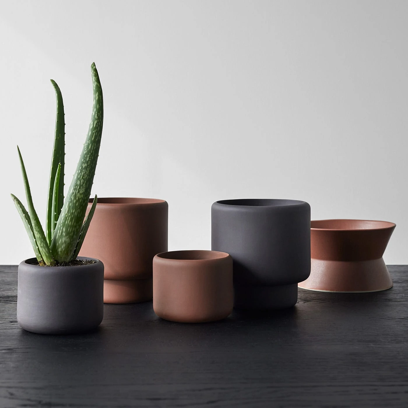 Zig Zag Brick Low Bowl 9 Zig Zag Brick Low Bowl - Image 7