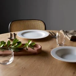 Perfection Small Tumbler 7.7oz -Furniture Store front cover moon dinnerware slab ore platter 7 1