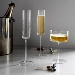 LSA International Otis Champagne/Cocktail Glasses Set Of 2 -Furniture Store unison 10 22 6988 copy 3
