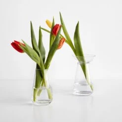 Aqua Culture Clear Large Vase -Furniture Store unison 1 22 2806