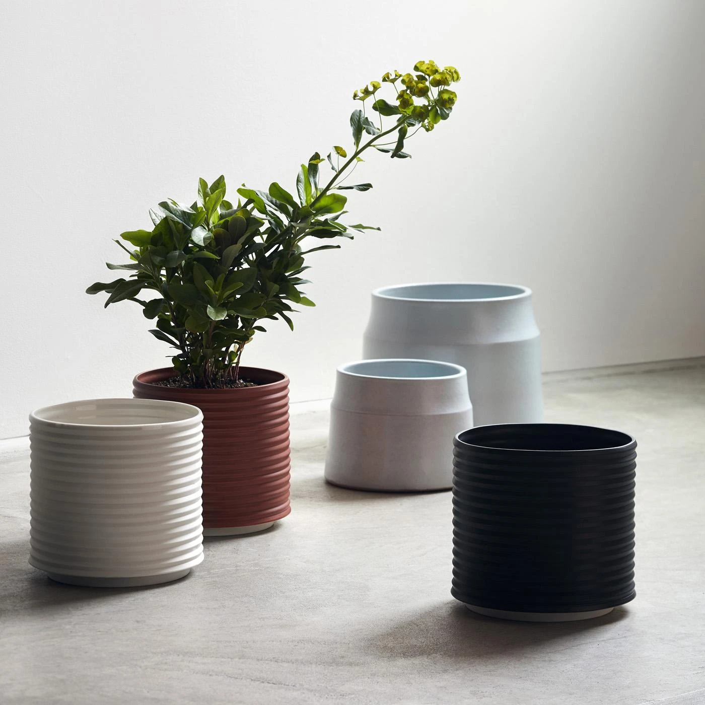 Oblique Brick Planter 11 Oblique Brick Planter - Image 9