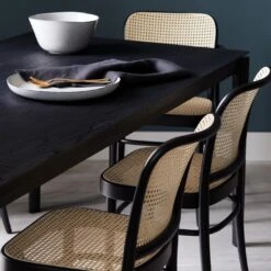 811 Black Side Chair -Furniture Store unison catalog 5 18 4729 4