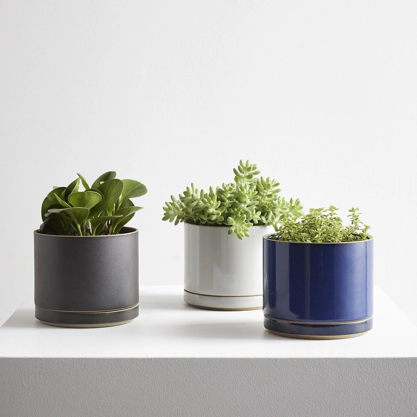 Hasami Gloss Gray Large Planter And Saucer Set 6 Hasami Gloss Gray Large Planter And Saucer Set - Image 4